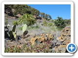 241108_Teneriffa_El_Hierro_050