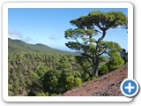 241108_Teneriffa_El_Hierro_061