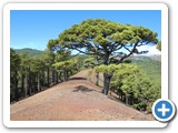 241108_Teneriffa_El_Hierro_062