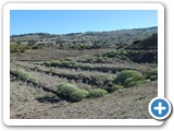 241108_Teneriffa_El_Hierro_101