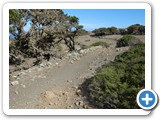 241108_Teneriffa_El_Hierro_124