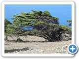241108_Teneriffa_El_Hierro_130