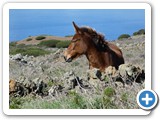 241108_Teneriffa_El_Hierro_149