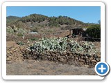 IMG_20241112_105032