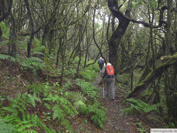 Gomera