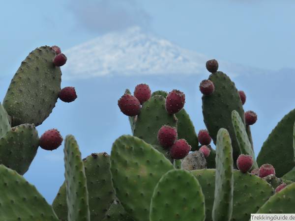 Gomera