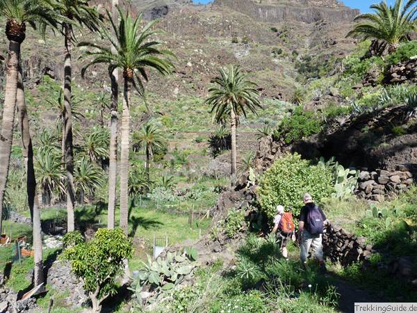 Gomera