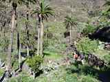 11-Barranco-de-Arure-014