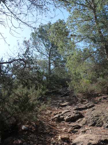 06--Cala-Bossa--Las-Salinas-028