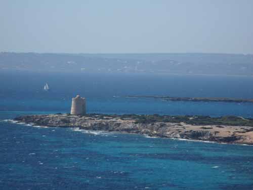 06--Cala-Bossa--Las-Salinas-041