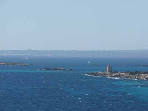 06--Cala-Bossa--Las-Salinas-042