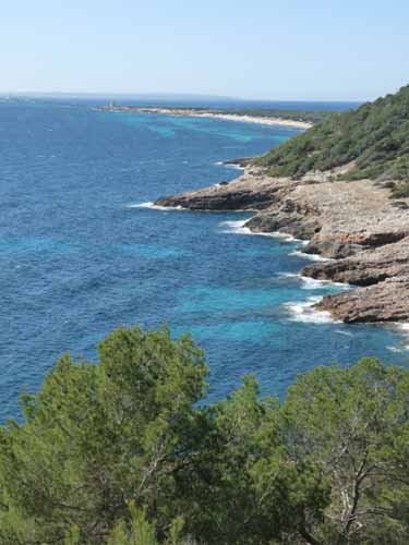 06--Cala-Bossa--Las-Salinas-046