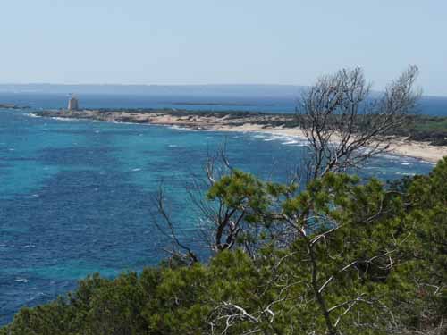 06--Cala-Bossa--Las-Salinas-053