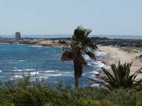 06--Cala-Bossa--Las-Salinas-054