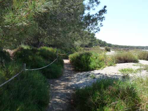 06--Cala-Bossa--Las-Salinas-057