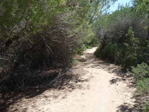 06--Cala-Bossa--Las-Salinas-062