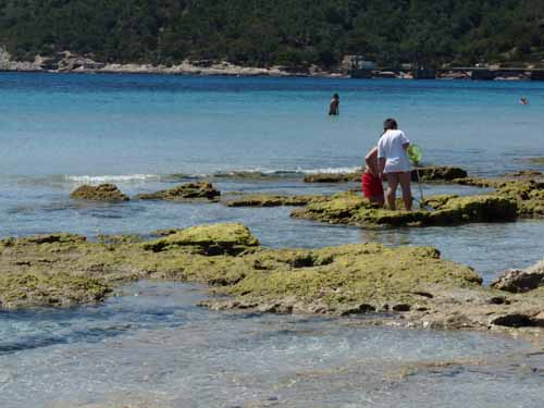 06--Cala-Bossa--Las-Salinas-089