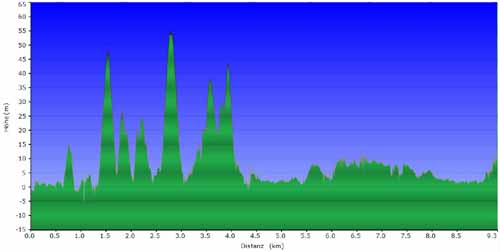 06--Cala-Bossa--Salinas--Profil
