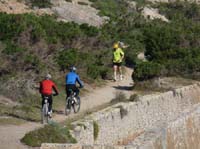 06--Cala-Bossa--Las-Salinas-006