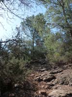 06--Cala-Bossa--Las-Salinas-028