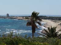 06--Cala-Bossa--Las-Salinas-054