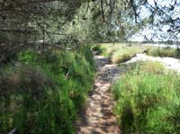 06--Cala-Bossa--Las-Salinas-056