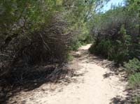 06--Cala-Bossa--Las-Salinas-062