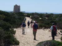 06--Cala-Bossa--Las-Salinas-068