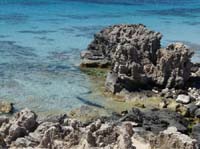 06--Cala-Bossa--Las-Salinas-087