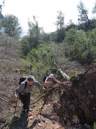 04--Cala-Llonga--Ibiza-004