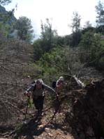 04--Cala-Llonga--Ibiza-003