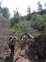 04--Cala-Llonga--Ibiza-004