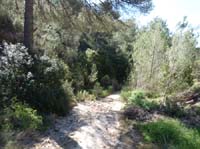 04--Cala-Llonga--Ibiza-013