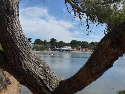 02-Es-Canar--Cala-Llonga-020