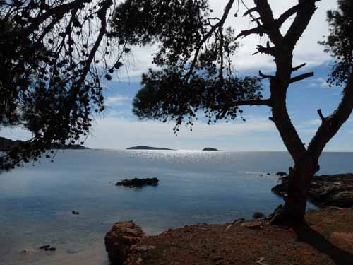 02-Es-Canar--Cala-Llonga-022