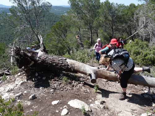 02-Es-Canar--Cala-Llonga-042