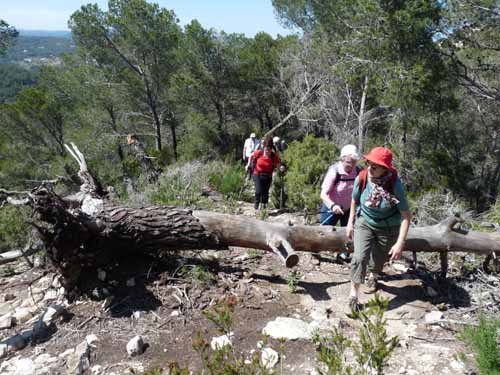 02-Es-Canar--Cala-Llonga-043