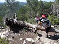 02-Es-Canar--Cala-Llonga-042