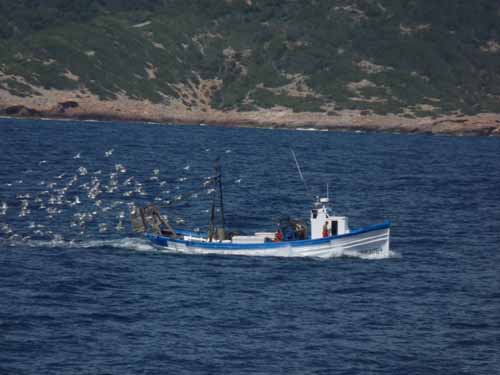 07--Formentera-Nord-027