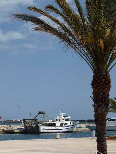 07--Formentera-Nord-040