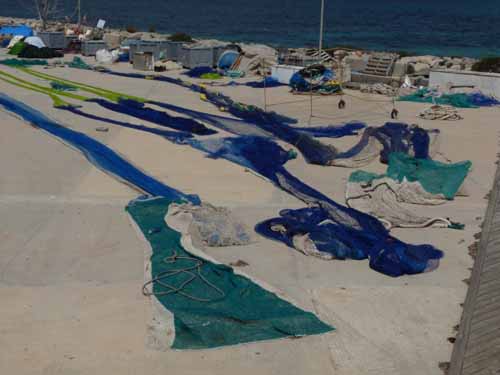 07--Formentera-Nord-042