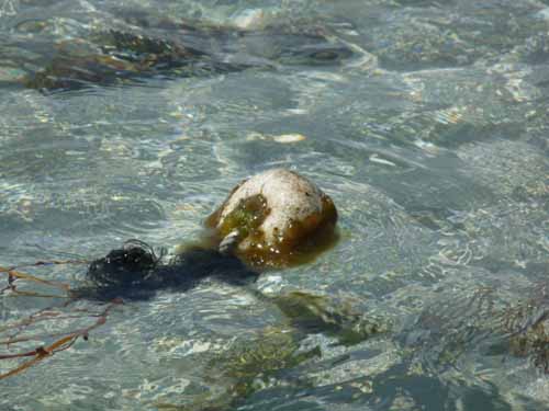 07--Formentera-Nord-099