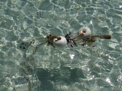 07--Formentera-Nord-106