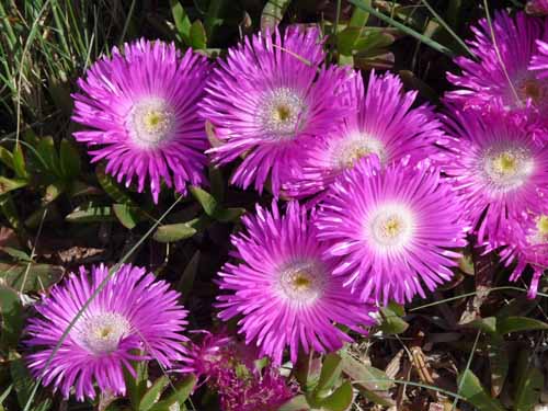 07--Formentera-Nord-127