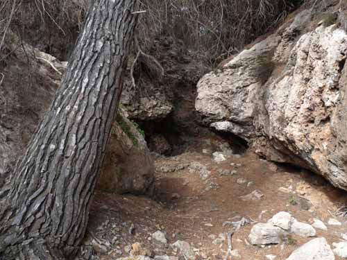 03--Moscarter--Portinatx--Cala-Xarraca-032