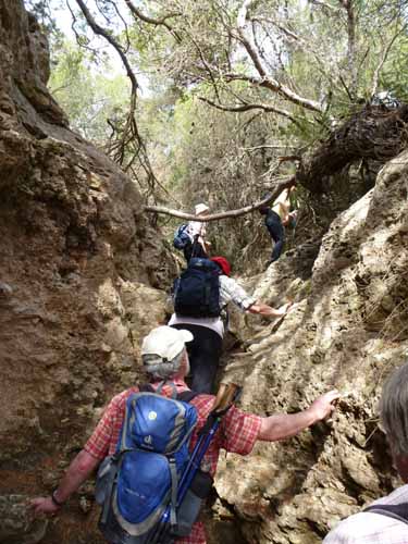 03--Moscarter--Portinatx--Cala-Xarraca-034