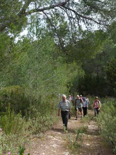 03--Moscarter--Portinatx--Cala-Xarraca-047