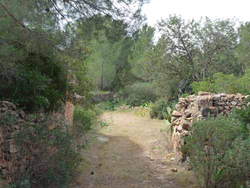 03--Moscarter--Portinatx--Cala-Xarraca-049