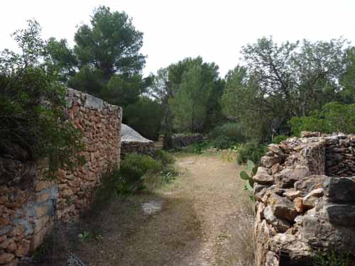 03--Moscarter--Portinatx--Cala-Xarraca-050