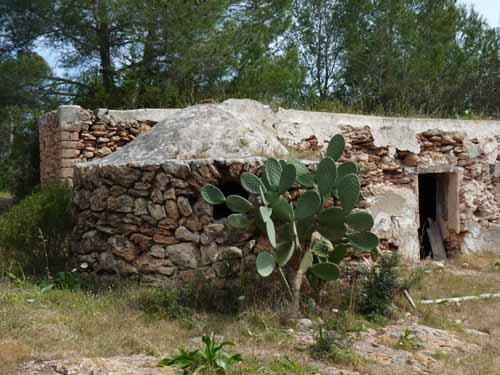 03--Moscarter--Portinatx--Cala-Xarraca-058